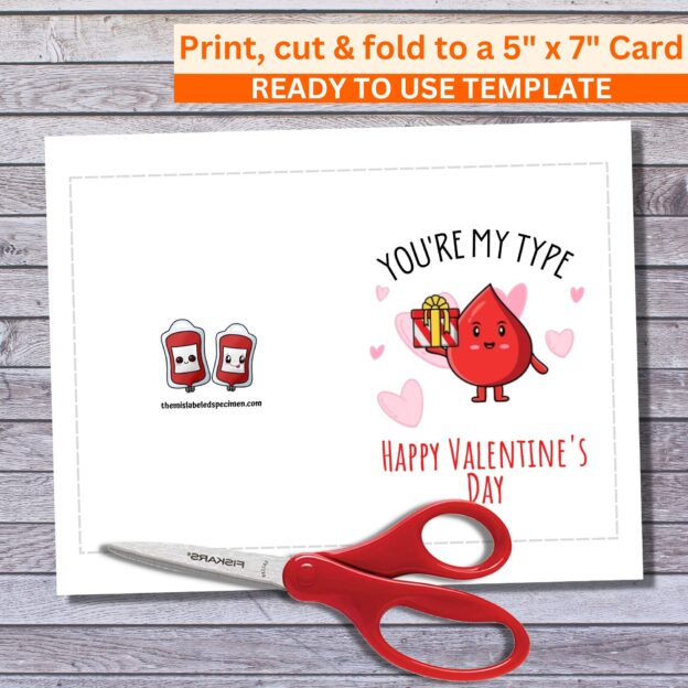 Funny 5x7 Printable Valentine's Day Greeting Card You're My Type Blood Bank Printable Digital Download with Envelope Template