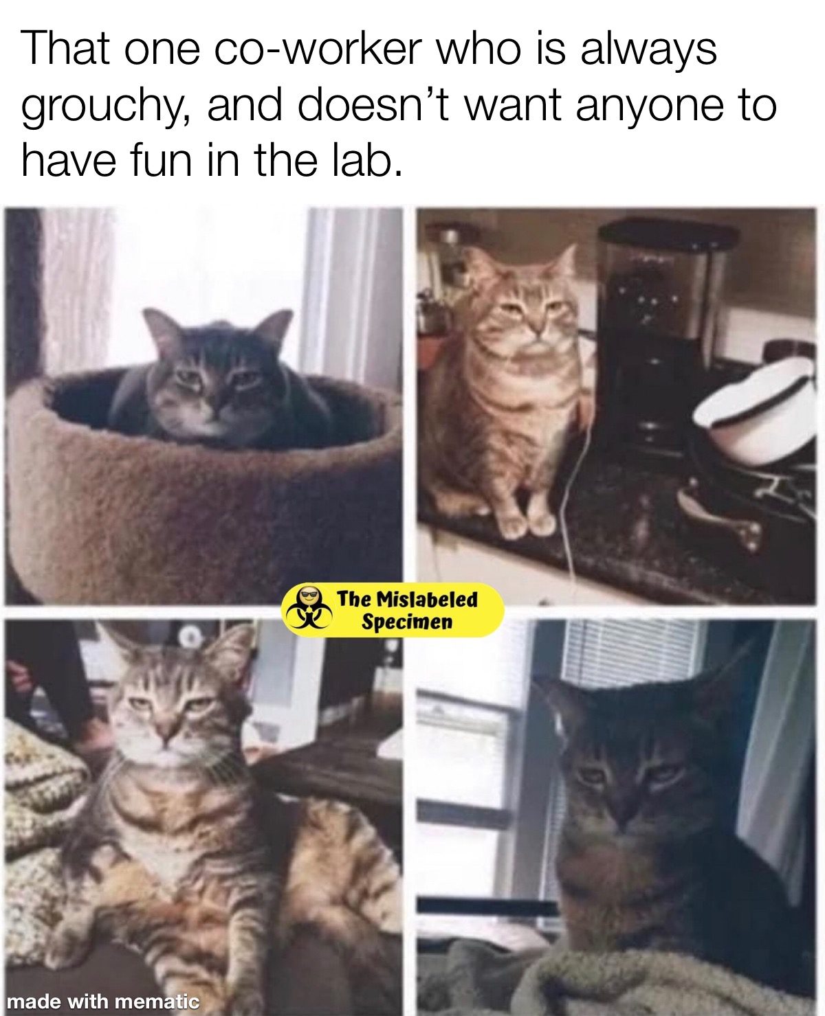 Funny Laboratory Memes MT, MLT, CLS, MLS, Phlebotomist,Lab Assistant, Scientist, Technologist The Mislabeled Specimen