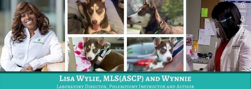 Lisa Wylie, MLS(ASCP) and Wynnie Lab Professionals and Their Pets The Mislabeled Specimen