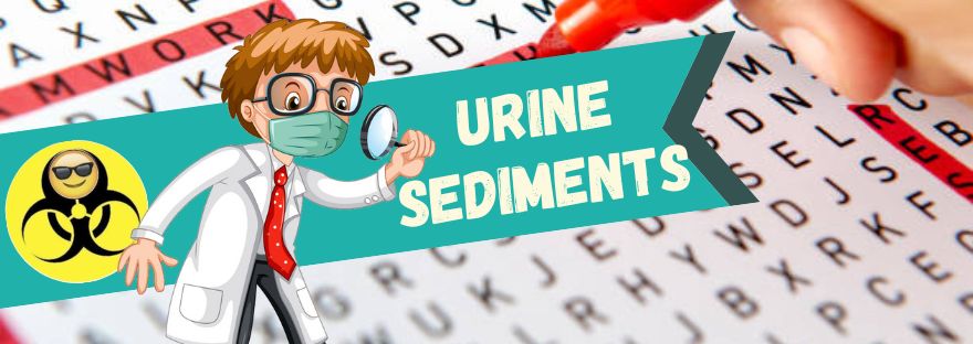 Urine Sediments Urinalysis Terms Fun and Games The Mislabeled Specimen Lab Word Search Puzzles MT, MLT, CLS, MLS, ASCP, AMT, AAB