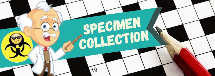 Specimen Collection Phlebotomy Terms Laboratory Crossword Puzzle The Mislabeled Specimen Fun Games Lab Professionals