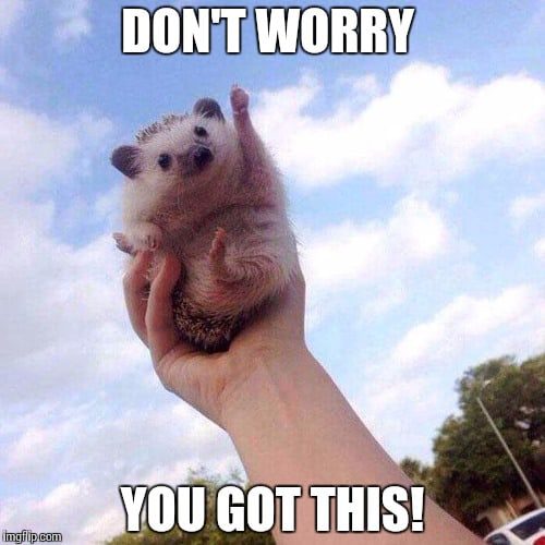 dont worry you got this motivational memes