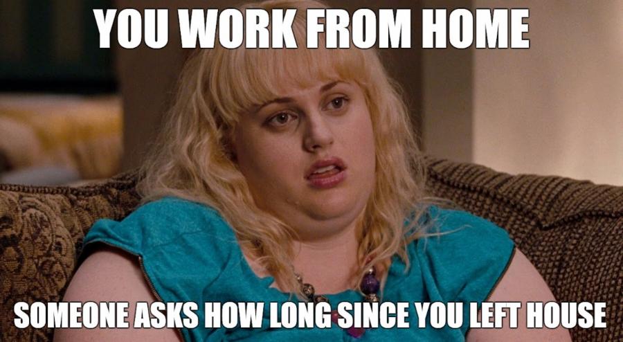 work at home memes